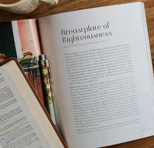 Load image into Gallery viewer, Stand Firm Bible Study
